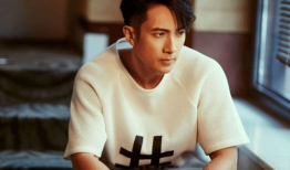 吴尊电视剧,魅力演绎，情感交织的青春篇章